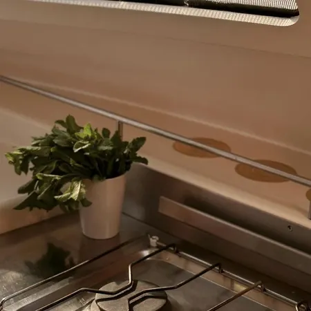 船屋 Alion Yacht 阿尔啼